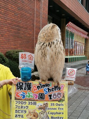 35.71250000000001,139.79472222222222