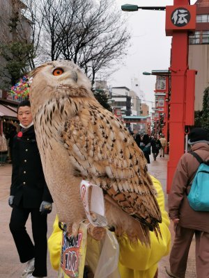 35.7125434875,139.79476928694444