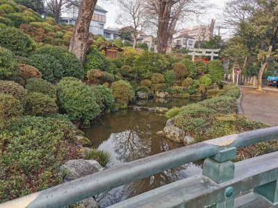 35.71934127805556,139.76107788083334