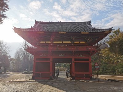 35.71979904166667,139.76086425777777