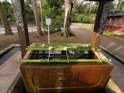 35.71979904166667,139.76086425777777