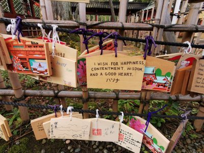 35.71995925888889,139.76063537583335