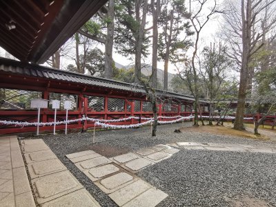 35.71998596166667,139.76089477527779