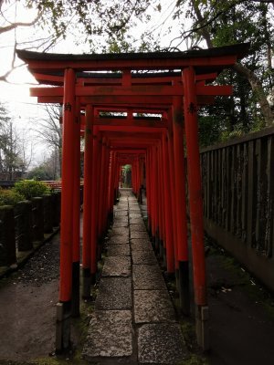 35.72027969333333,139.76016235333333