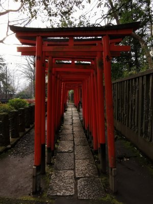 35.72027969333333,139.76016235333333