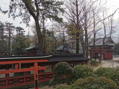 35.71989822361111,139.76042175277777