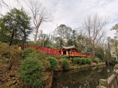 35.71997451777778,139.7603759763889