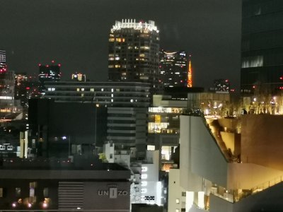 35.66250228861111,139.69624328611113