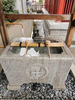 35.70903396583333,139.79663085916667