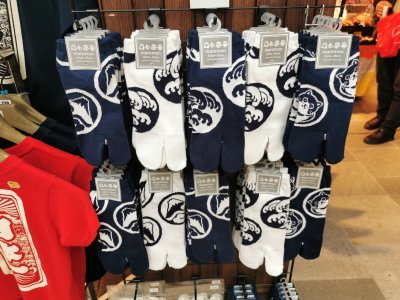 35.54474258416666,139.76902770972222