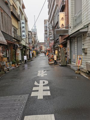 35.71176528916667,139.79324340805556