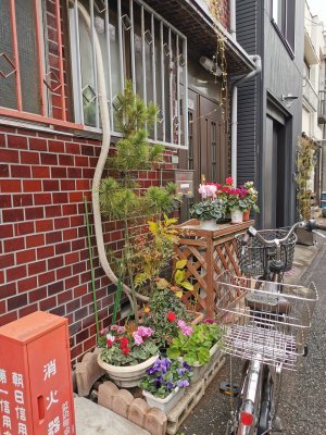 35.71958160388889,139.76475524888889