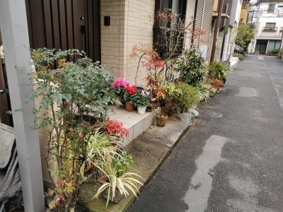 35.71965026833333,139.76478576638888