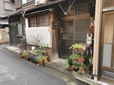 35.71976089472222,139.76499938944445