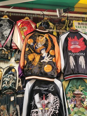 35.70916666666667,139.77472222222224