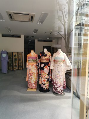 35.68922805777778,139.77465820305557