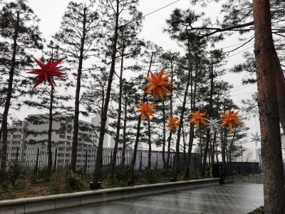 35.70969772333333,139.79124450666666