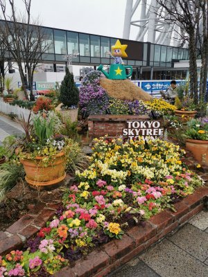 35.70969772333333,139.79124450666666