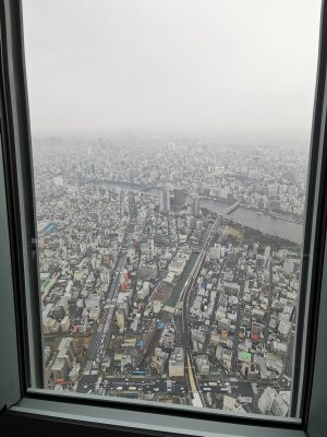 35.71011352527778,139.81037902805556