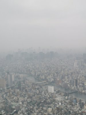 35.71005630472222,139.81069946277779