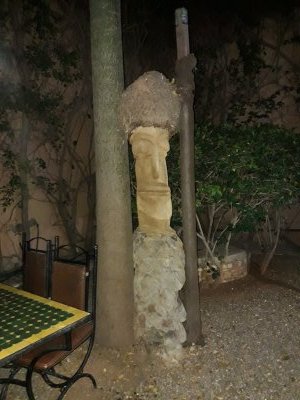 30.49944444444445,-9.67194444444444