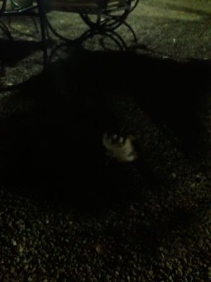 30.49972222222222,-9.67222222222222