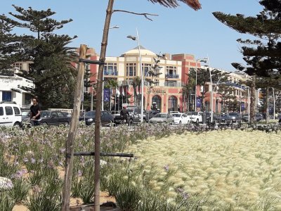 31.50861111111111,-9.76666666666667