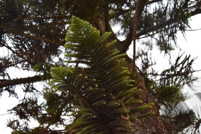 34.88166666666667,-6.29055555555556