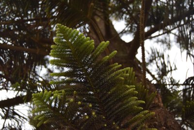 34.88166666666667,-6.29055555555556