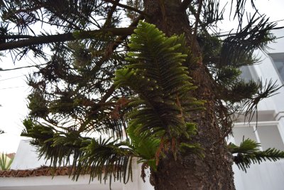 34.88166666666667,-6.29055555555556