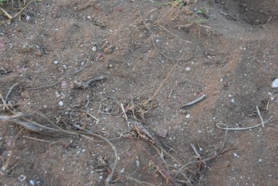 34.88166666666667,-6.29055555555556