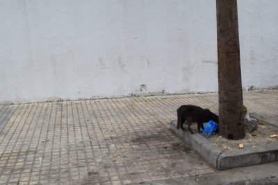 35.45083333333334,-5.09083333333333