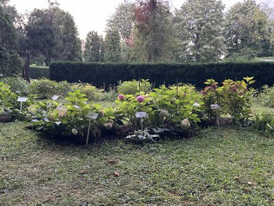 47.18648611111111,27.55743888888889