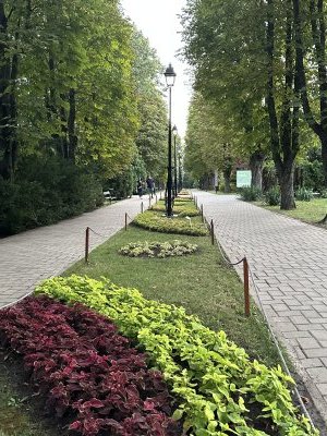 47.18643055555555,27.55746388888889