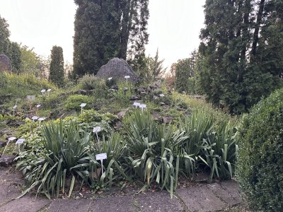 47.18606666666666,27.55611111111111