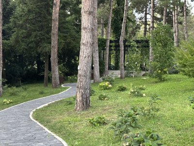 47.18570833333333,27.55460277777778