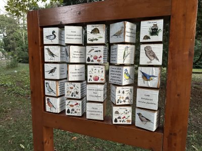 47.18598611111111,27.5561