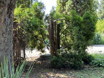 47.18635833333333,27.55718333333333