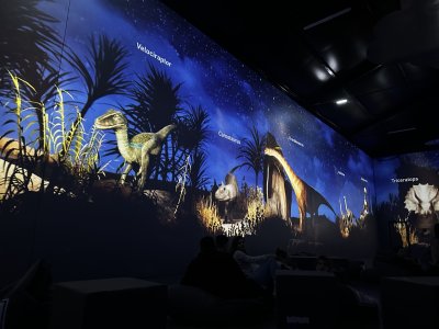 47.14650277777778,27.59722222222222