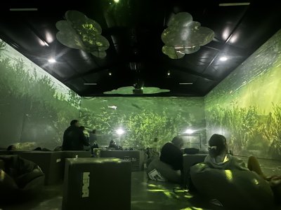 47.14647222222222,27.59744722222222