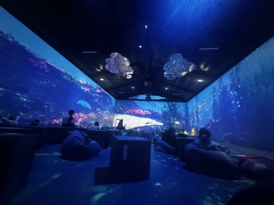 47.14655277777778,27.59740555555555