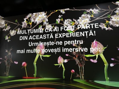 47.14658055555555,27.59738888888889