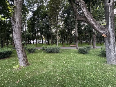 47.17971388888888,27.56818333333333