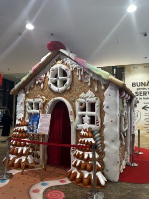 47.15558333333333,27.58900833333333