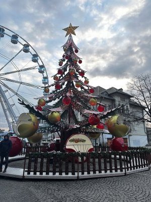 47.16273888888889,27.58254444444444