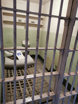 37.82680892916667,-122.42295837388889