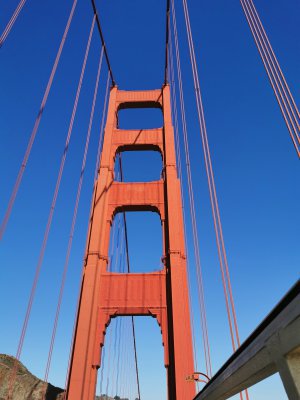 37.81475067111111,-122.47785949694445