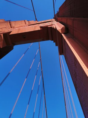 37.81475067111111,-122.47785949694445