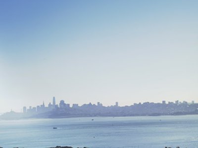 37.83777236916667,-122.48587036111111