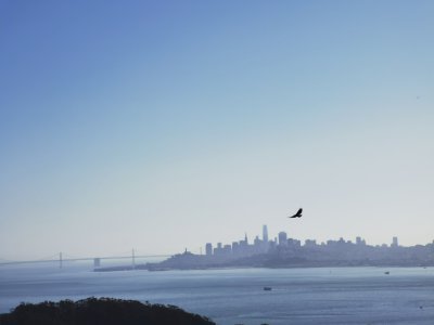 37.83777236916667,-122.48587036111111